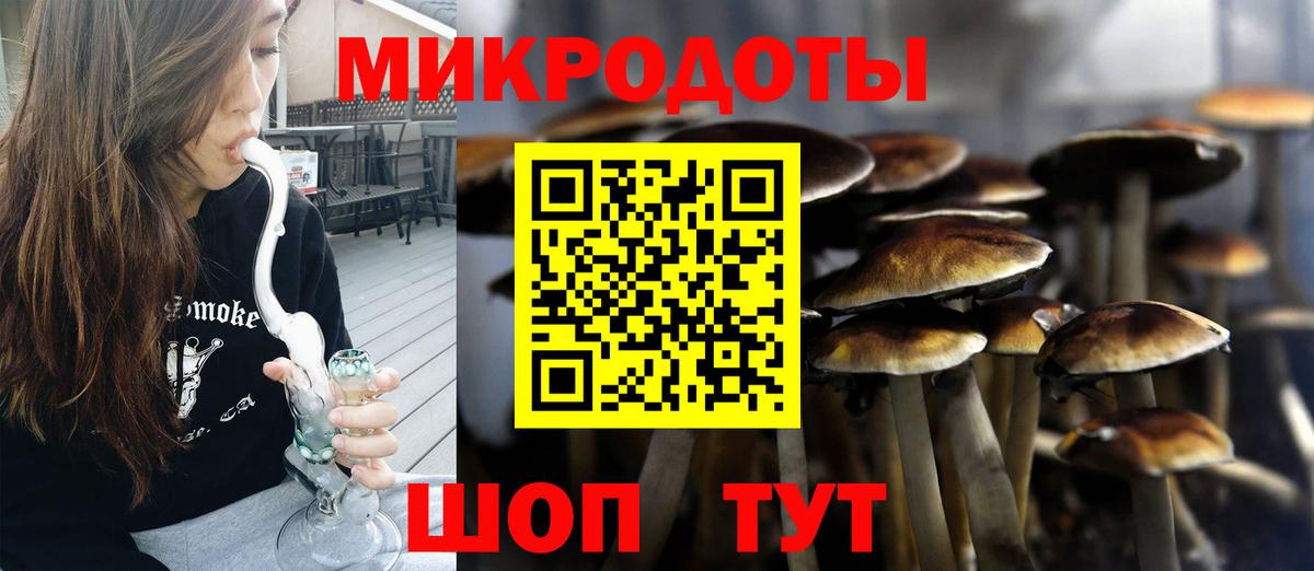 Бор  Галлюциногенные грибы Psilocybe  Вход с VPN 